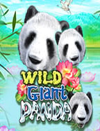 เข้า เกม slotxo ทดลองเล่น พลาดไม่ได้!